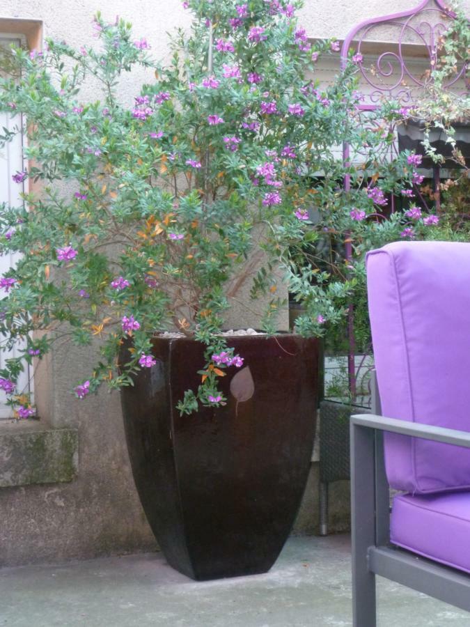 La Pergola Bed and Breakfast Châteauneuf-du-Pape Buitenkant foto